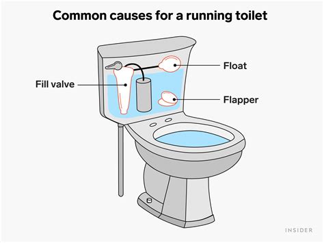 How to Make the Toilet Stop Running: And Why It Might Be Related to Your Morning Coffee